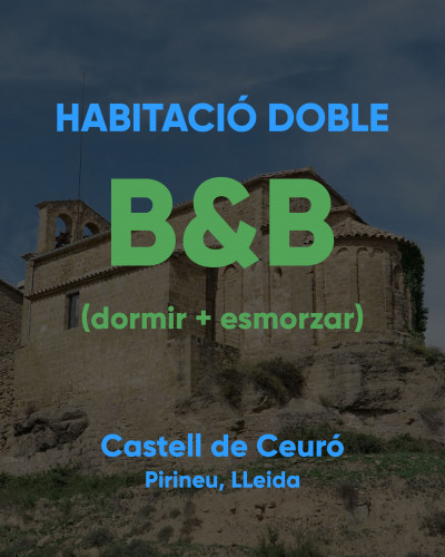 HABITACIÓ DOBLE - B&B