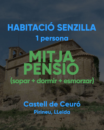 HABITACIÓ SENZILLA -  1 persona - MITJA PENSIO