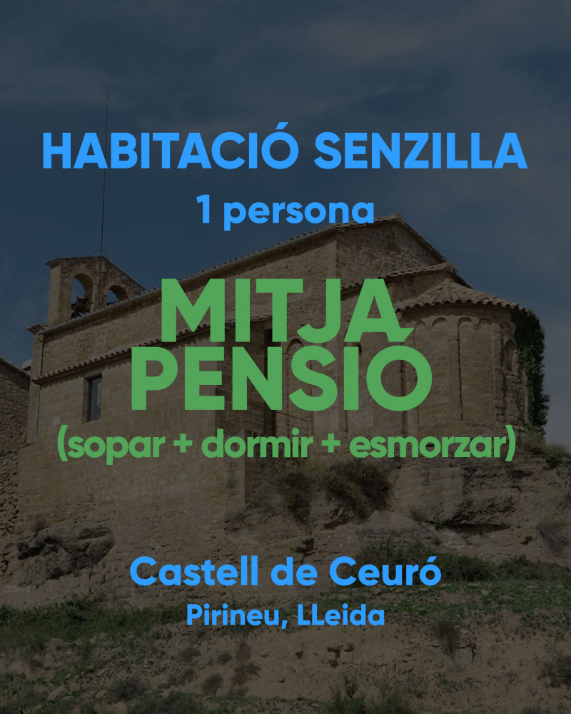 HABITACIÓ SENZILLA -  1 persona - MITJA PENSIO
