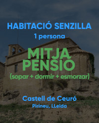 HABITACIÓ SENZILLA -  1 persona - MITJA PENSIO