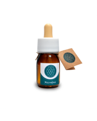 Microdosi de Plantes - 30 ml