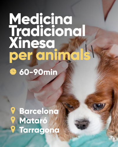 Medicina Tradicional Xinesa per animals