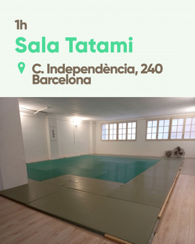Sala Tatami - 1h