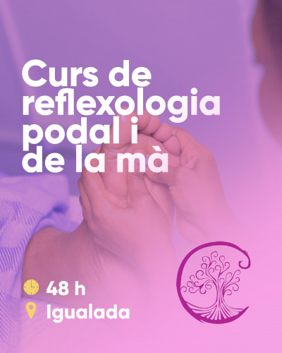 Curs de reflexoteràpia