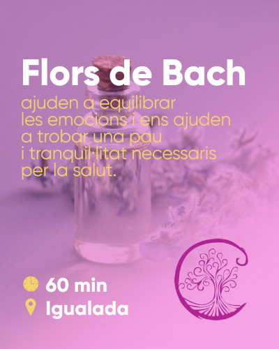 Flors de Bach